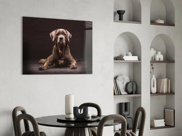 Köpek Cam Tablo - Resim 5