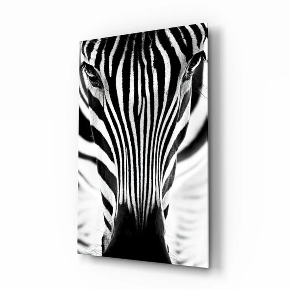 Zebra Cam Tablo ürün görseli 1
