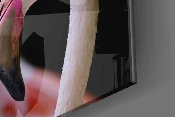Flamingo Cam Tablo - Resim 7