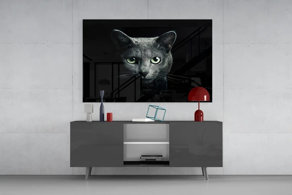 Kedi Cam Tablo - Resim 8