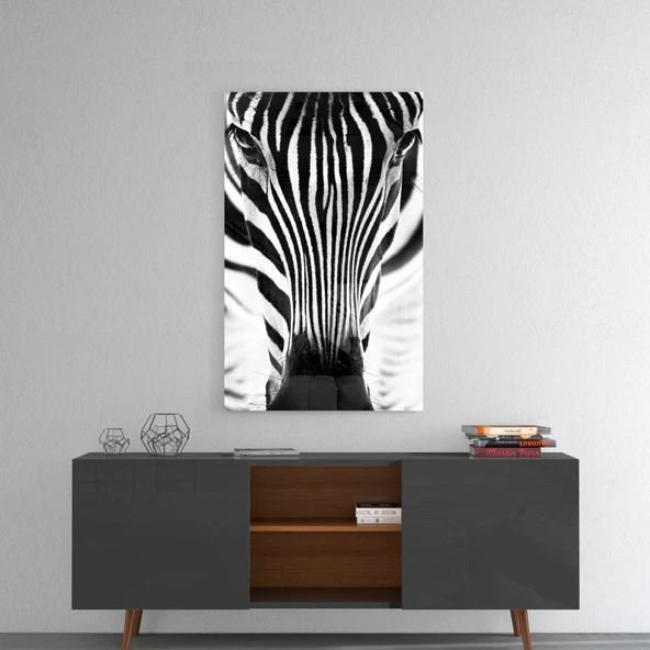 Zebra Cam Tablo - Resim 8