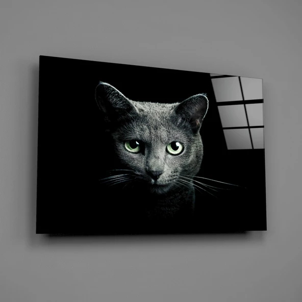 Kedi Cam Tablo - Resim 2