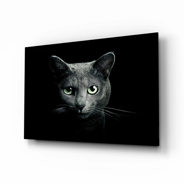 Kedi Cam Tablo ürün görseli 1