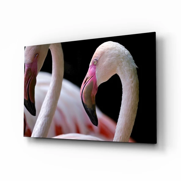 Flamingo Cam Tablo ürün görseli 1