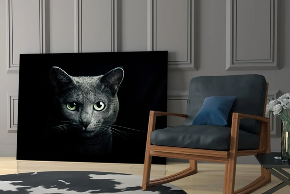 Kedi Cam Tablo - Resim 6