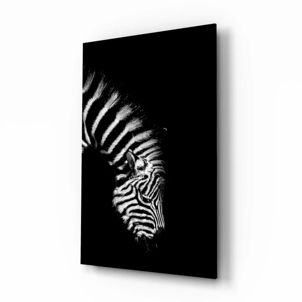 Zebra Cam Tablo ürün görseli 1
