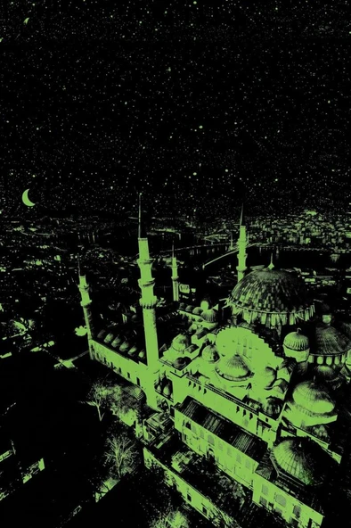1000 Parça Sultan Ahmet Camii Puzzle Evinizin Baş Köşesinde İstanbul Masalı Keyfi ürün görseli 1