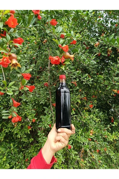 hanımın elinden Nar ekşisi 1 litre - Resim 3