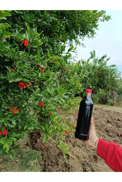 hanımın elinden Nar ekşisi 1 litre ürün görseli 1
