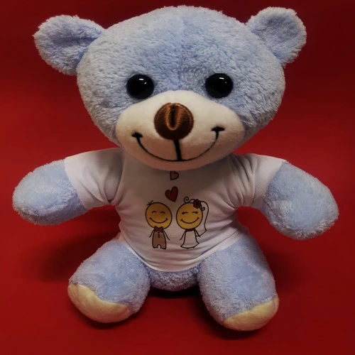 Mutlu Çift Tişörtlü Peluş Ayı ürün görseli 1
