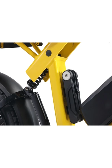 COLOBUS PREMİUM ELEKTRİKLİ BİSİKLET 750W - Resim 3