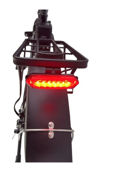 ROBUSTO PREMIUM ELEKTRİKLİ BİSİKLET -750W - Resim 5