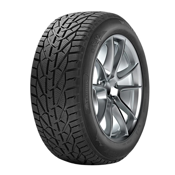185/55R15 82T Winter ürün görseli 1