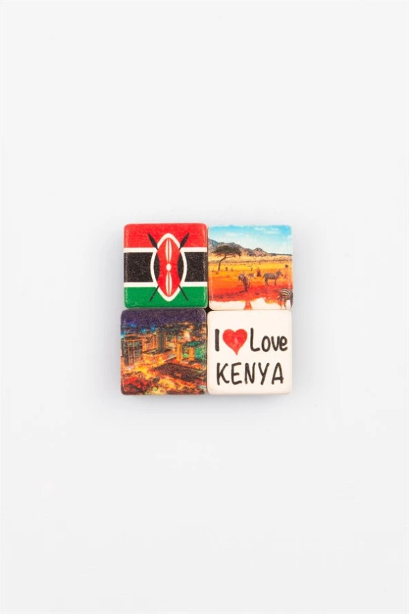 Kenya Temalı Dörtlü Taş Magnet - Resim 4