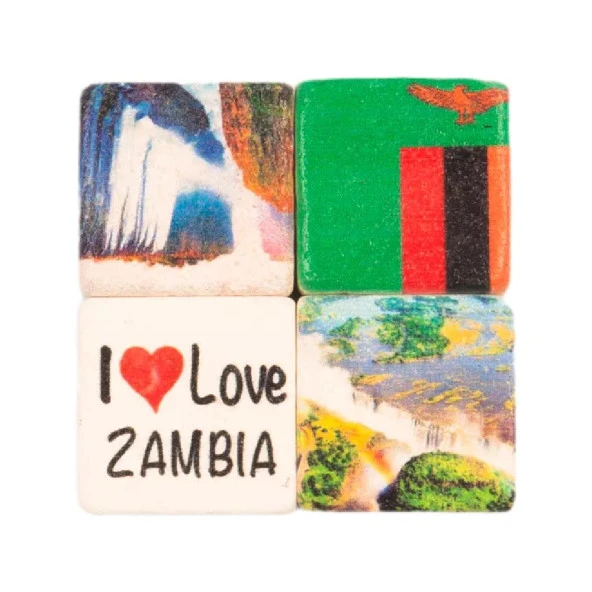 Zambiya Temalı Dörtlü Taş Magnet ürün görseli 1