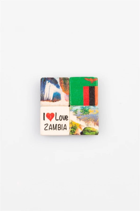 Zambiya Temalı Dörtlü Taş Magnet - Resim 3