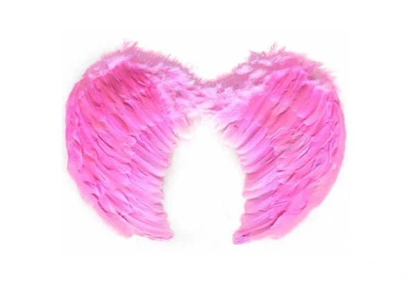 Melek Kanadı Büyük Boy - Pembe - Resim 2