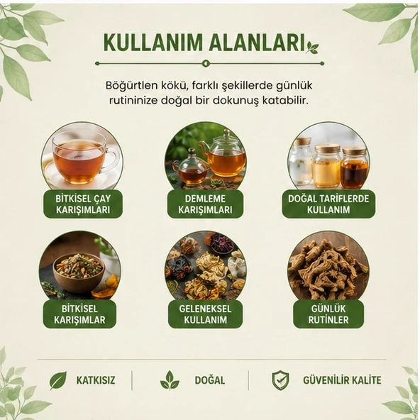 Böğürtlen Kökü - 500 gr - Resim 4