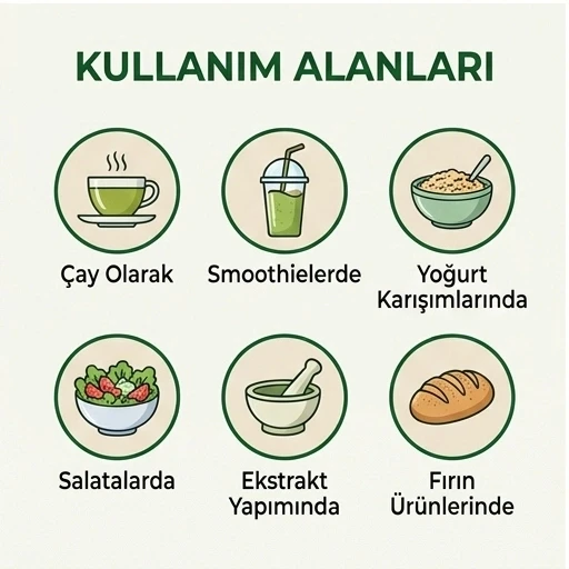 Deve Dikeni Tohumu - 500 gr - Resim 2