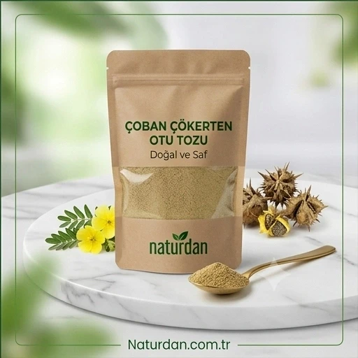 Çoban Çökerten Otu Öğütülmüş Toz (Demir Dikeni) - 5 kg ürün görseli 1