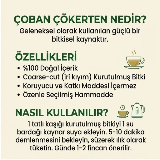 Çoban Çökerten (demir Dikeni) - 2 kg - Resim 4