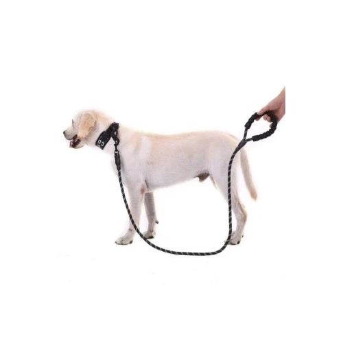 Reflektörlü Köpek Tasması 130 Cm. - Resim 2
