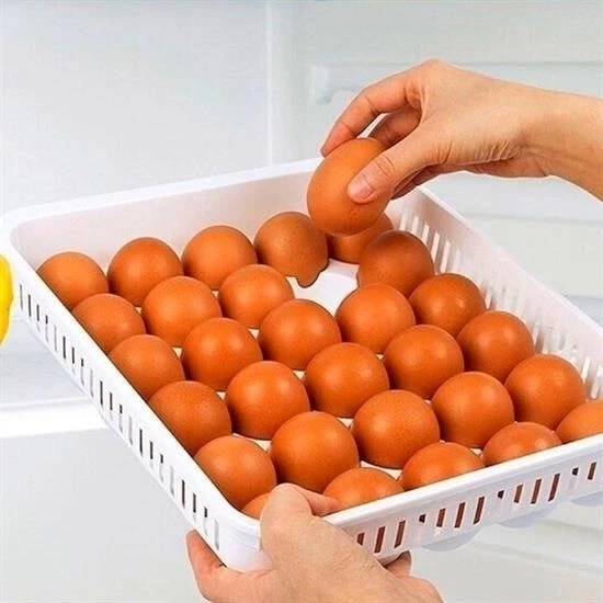 15liYumurta Saklama Kabı - Resim 2