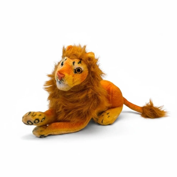 HS-14601 ASLAN* 150 - Resim 2