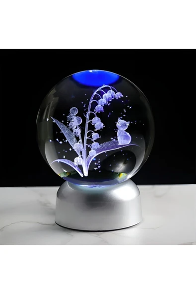 EXENET Kristal Cam Küre Özel Üretim 3D Hediye Dekoratif Işıklı Renkli Pilli VIP Premium Ev Ofis Masa Lamba ürün görseli 1