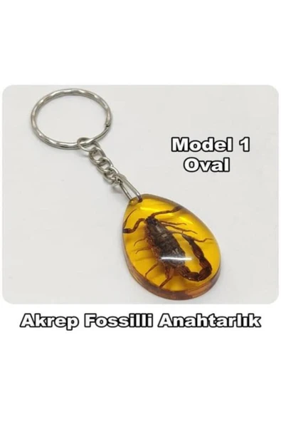 Taşarhome Özel Üretim Gerçek Akrep Fosilli Premium Epoksi Anahtarlık ürün görseli 1