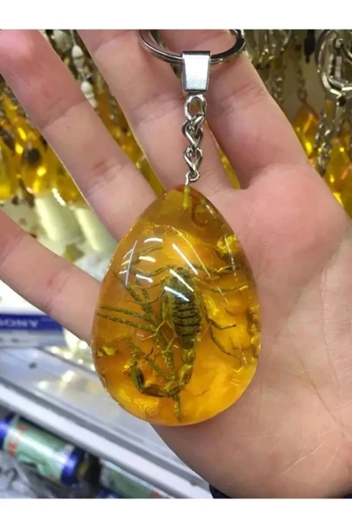 Sarego Akrep Fosilli Dekoratif Anahtarlık 3D Boyutlu Özel Lazer İşleme Şeffaf Kristal Tasarım Mega Boy ürün görseli 1