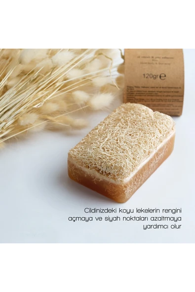Wolawood Salyangoz Özlü Kabak Lifli Sabun %100 Doğal El Yapımı Peeling Cilt Yenileyici ve Nemlendirici Sabun ürün görseli 1