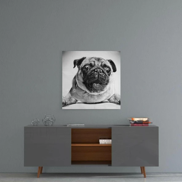 Pug Cam Tablo - Resim 4