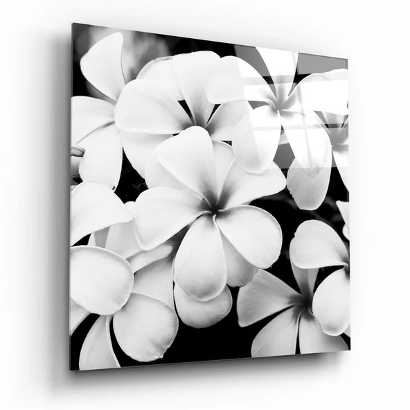Siyah-Beyaz Çiçekler Cam Tablo ürün görseli 1