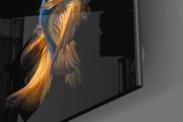 Betta Balık Cam Tablo - Resim 3