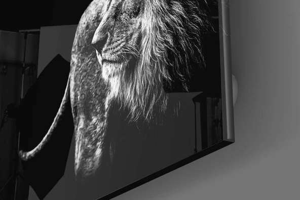 Aslan Cam Tablo - Resim 3