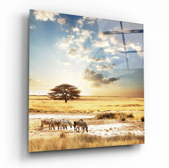 Afrika (Geniş Çayır) Cam Tablo ürün görseli 1