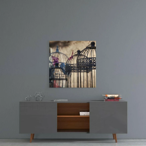 Kuş Kafesi Cam Tablo - Resim 4
