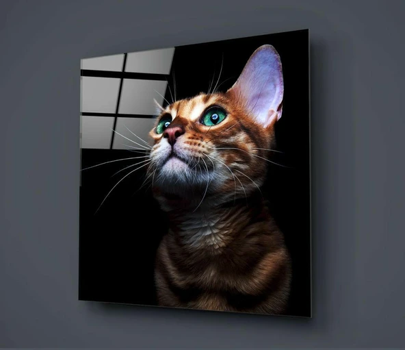 Yavru Kedi Cam Tablo - Resim 2