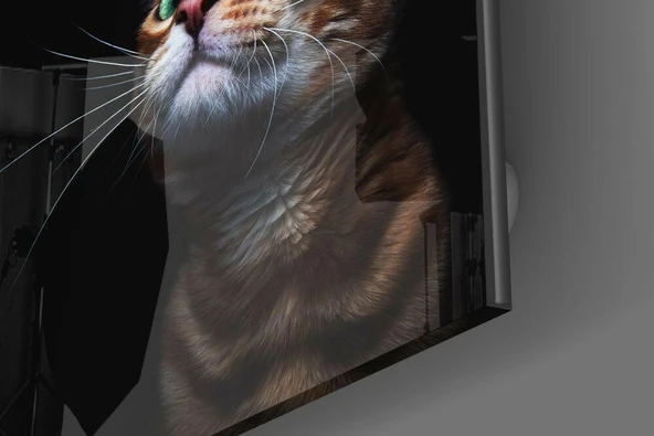 Yavru Kedi Cam Tablo - Resim 3