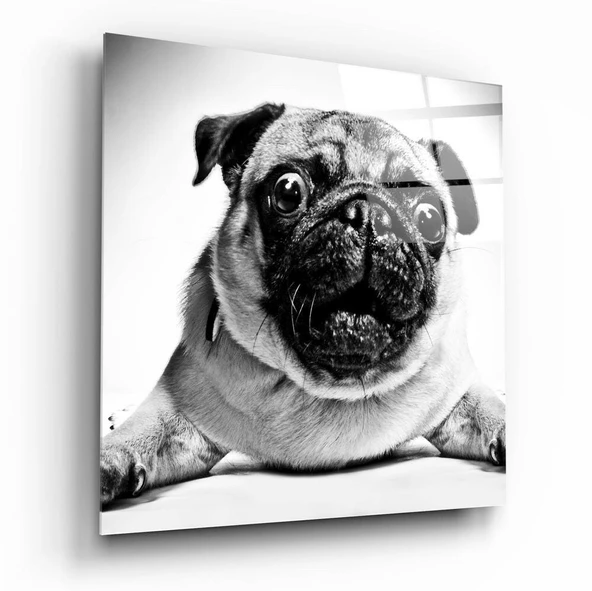 Pug Cam Tablo ürün görseli 1