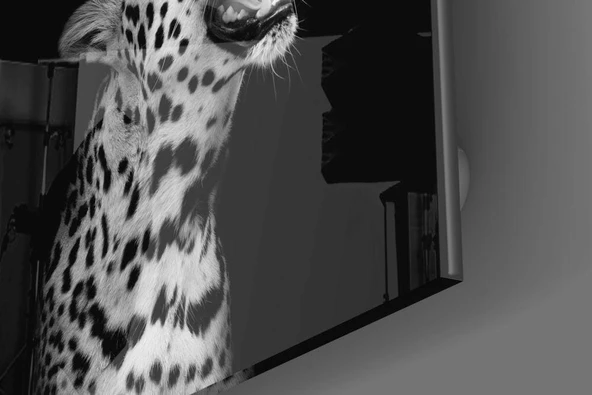 Leopar Cam Tablo - Resim 3