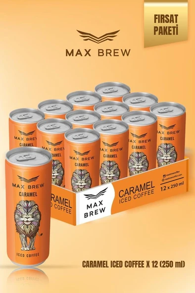 Max Brew Caramel Soğuk Kahve 250 ml 12 Adet ürün görseli 1