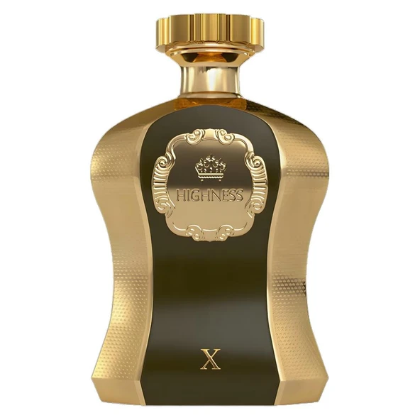 Afnan Highness X Edp 100ml ürün görseli 1