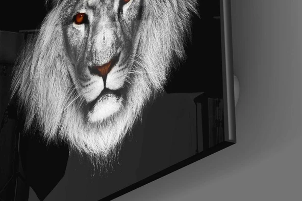 Aslan Cam Tablo - Resim 3