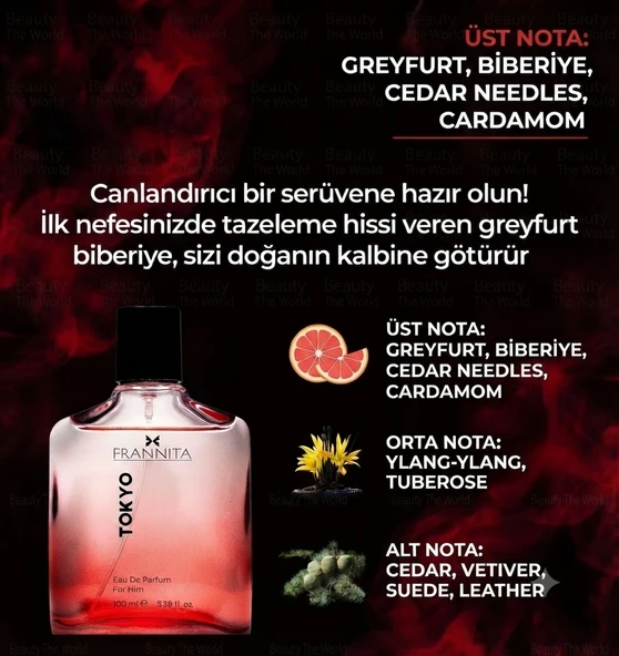 Tokyo For Him Edp 100 Ml Özel Seri Erkek Parfümü - Peşinden Koşturan Cazibe ve Odunsu Notalar ürün görseli 1
