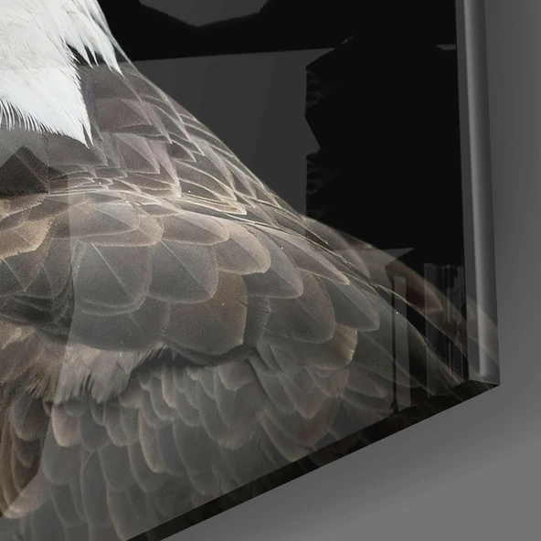 Kartal Cam Tablo - Resim 3