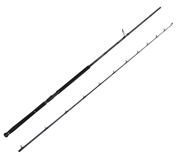Savage Gear Defiance SG2 Shore Jig 3.05m 60-150gr 2 Parça Olta Kamışı ürün görseli 1