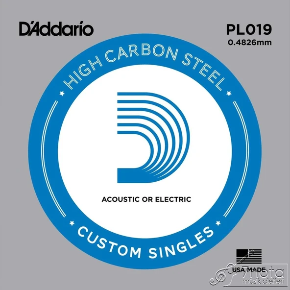 PL019 Elektro ve Akustik Tek Tel Plain Steel 019 ürün görseli 1