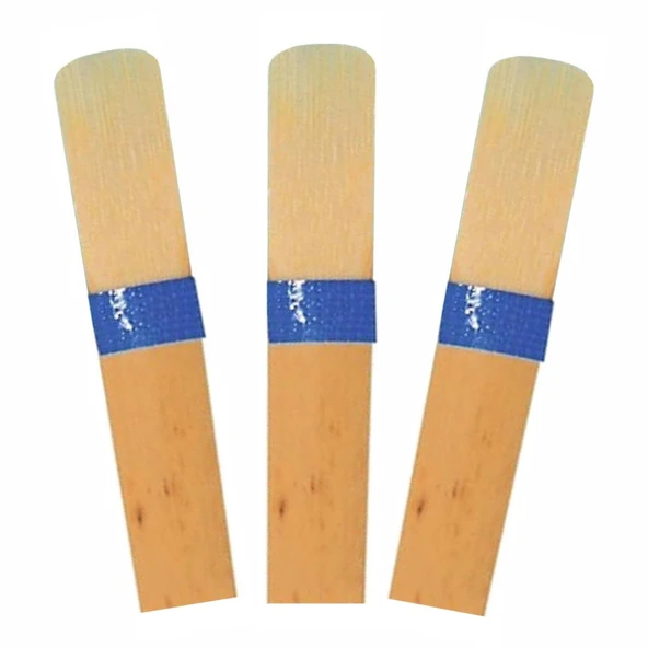 BHS1 Klarnet Kamış 3 Adet 1 No Mavi Kuşak Hot And Swing Rigotti ürün görseli 1